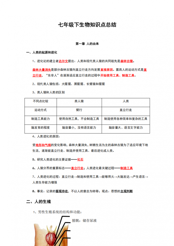 七年级（下）生物 知识点汇总《人教版》.pdf-中小学科教辅资料